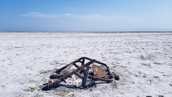 metal in saltonsea