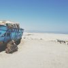 abandoned boat on the sand in saltonsea