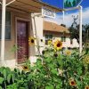 "freda" shop with sunflowers in front