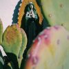 statue of saint mary inside cactus