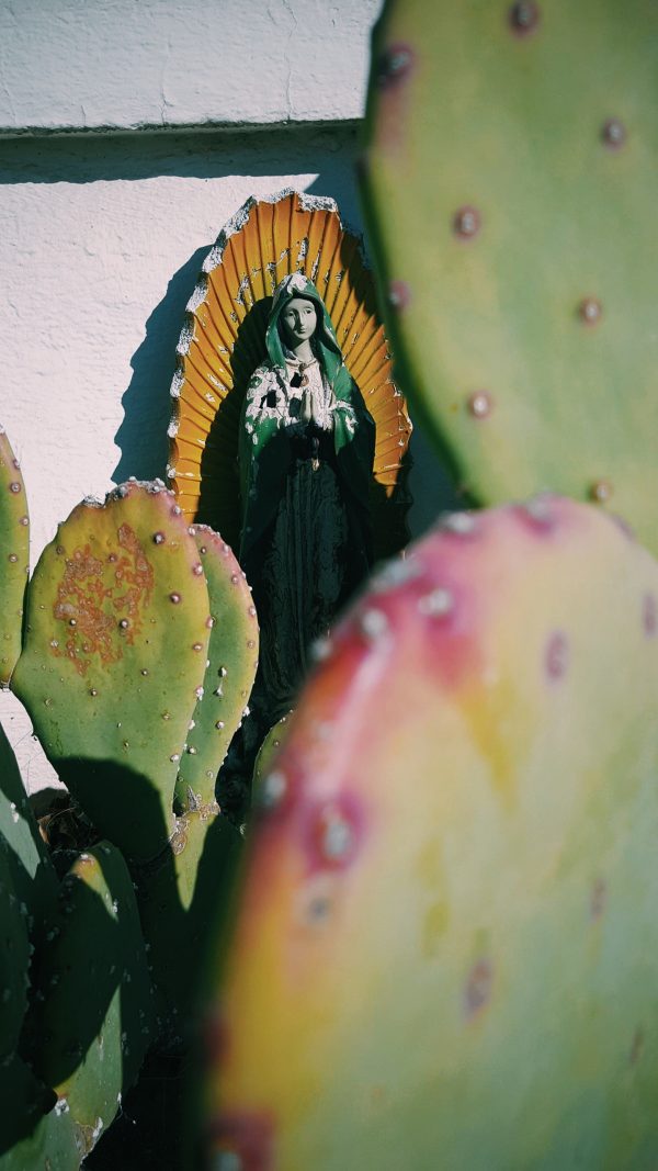 statue of saint mary inside cactus