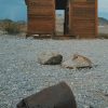 abandoned red building shot from a ground of pebbles