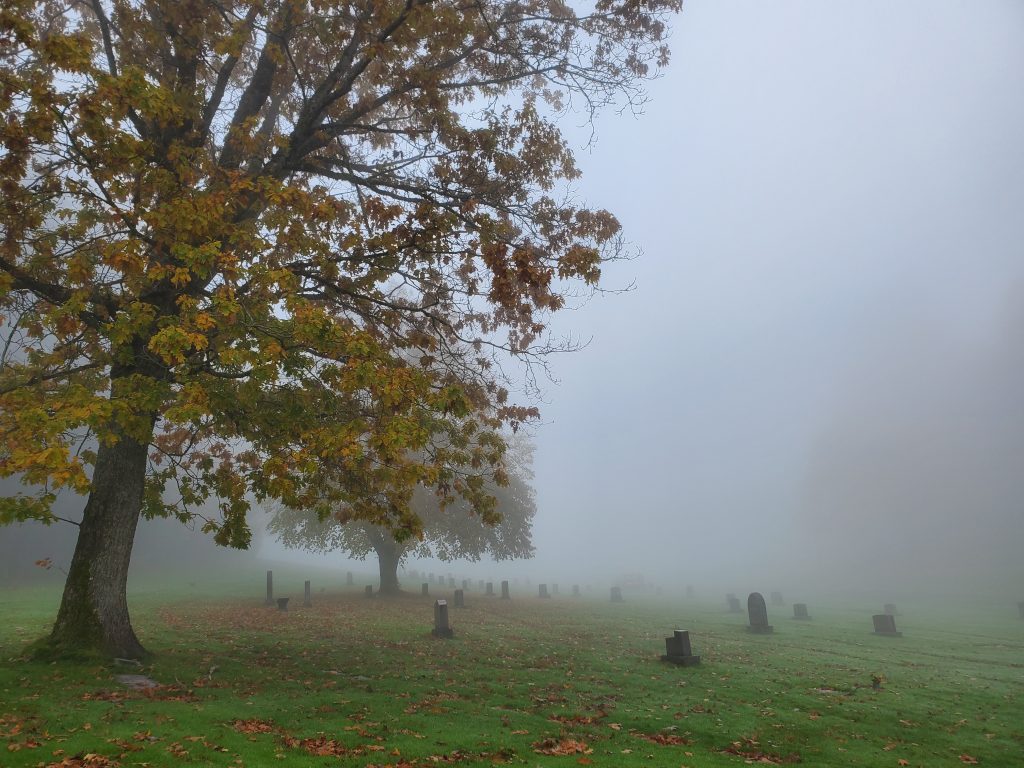 fog over a cemetery