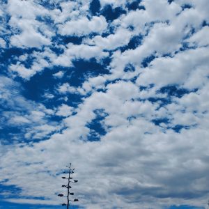 desert in blue