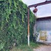 green vines grow on the side of a warehouse