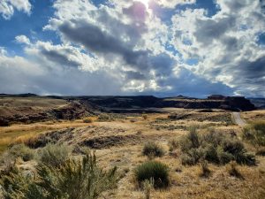 desert landscape with blue sky