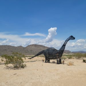 dino in the desert