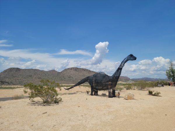 photo of wire dinosaurs in the desert