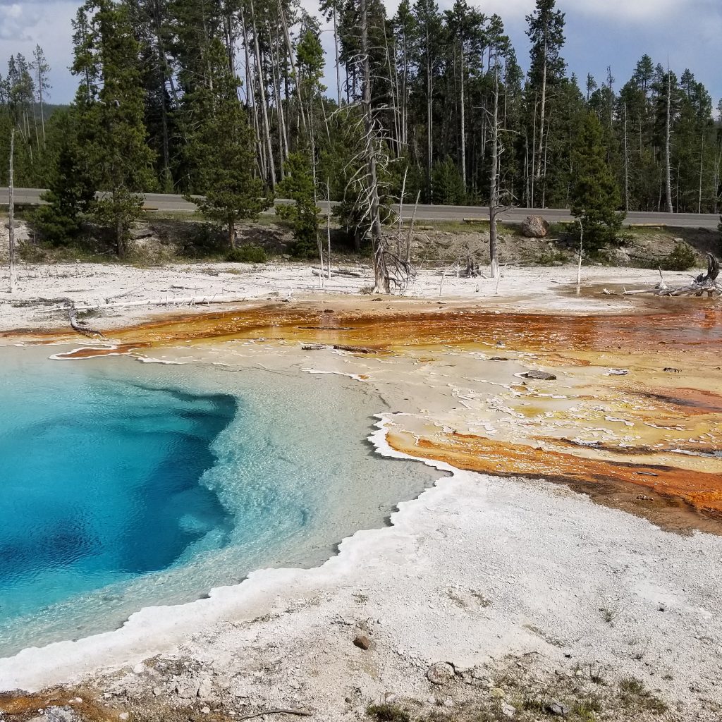 blue and brown pools in yellowstone