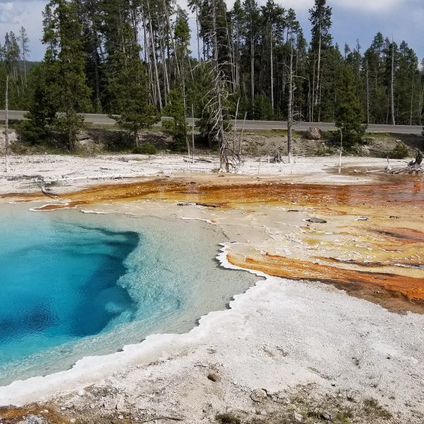 photo of blue and brown pools in yellowstone